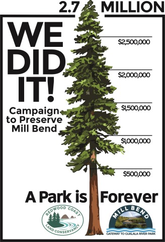 Redwood Tree_final