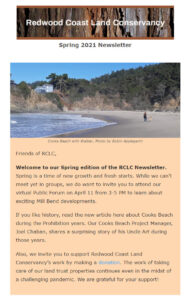 Spring 2021 newsletter