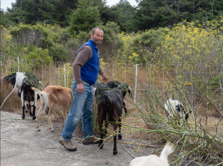 Hearn Gulch by Anne Hanlon Dave Shpak with Goats