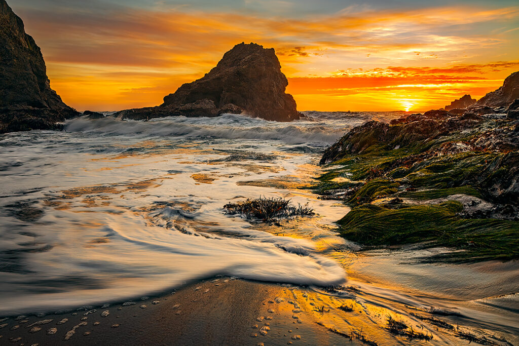 Mendocino coast