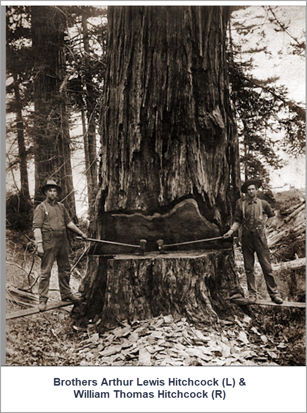 Hitchcock_Brothers_with_Caption