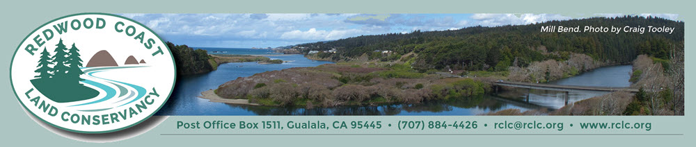 Letterhead-TopBar_GREEN_BKRND_1000x212