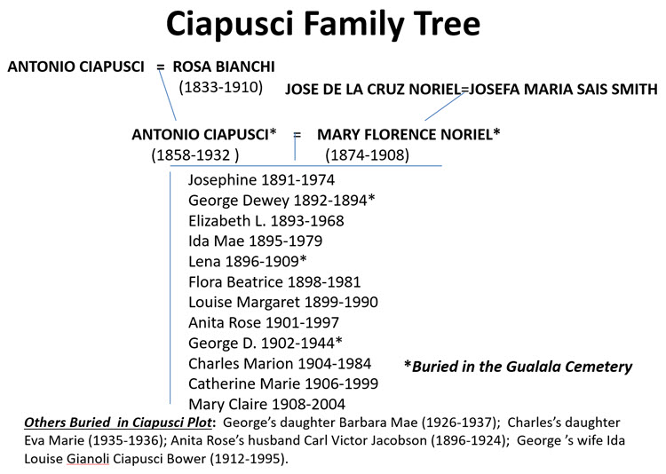 Ciapusci_family_tree