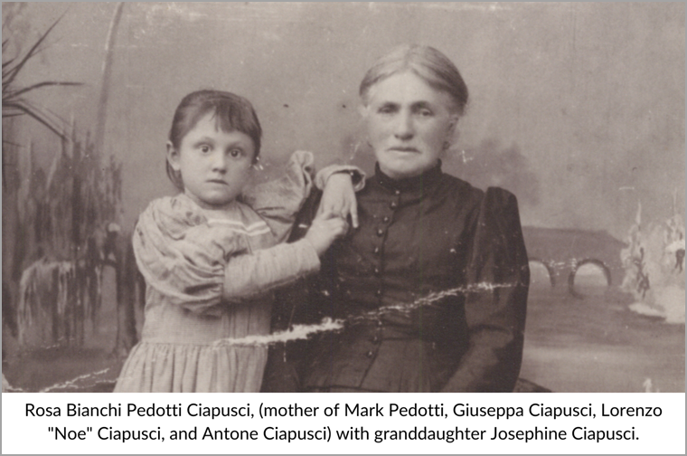Pedotti1