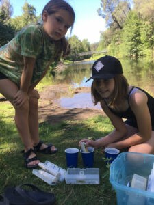 Gualala River Stream Team Stewardship Project