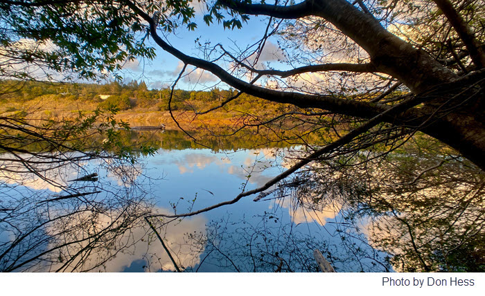 Redwood Coast Land Conservancy to unveil plan for Mill Bend Preserve