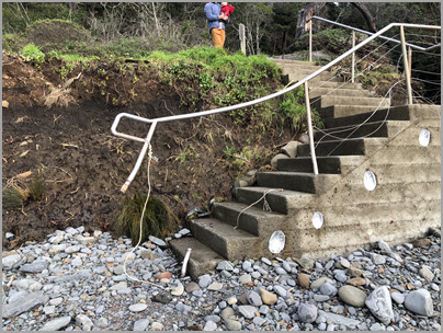 Local volunteers begin repairs to storm-damaged Cooks Beach