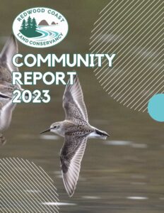 2023 CR page 1 2023 CR cover